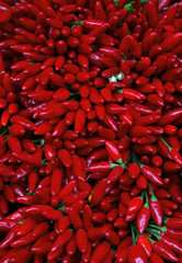 Red hot chili peppers bunches close up