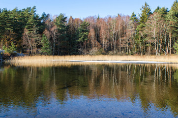 Fototapeta premium Sisjon in november lthe water is still