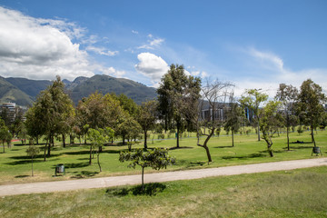 Park La Carolina, Parkfläche nähe der Laufbahn, Panorama; Quito, Ecuador 