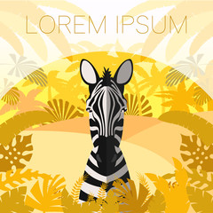 Zebra on the Jungle Background