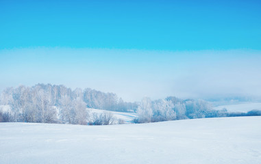 Beautiful winter landscape in frosty day and snowy forest on horizon