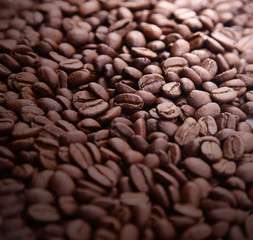 roasted coffee beans, can be used as a background