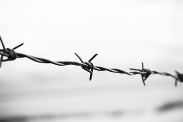Silhouette of barbed wire