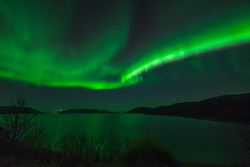 Northern lights out in Altafjord - obrazy, fototapety, plakaty