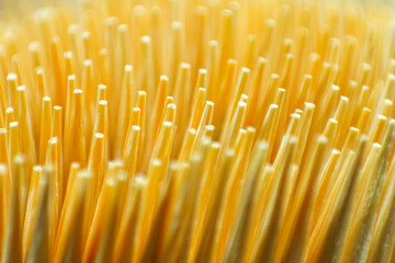 Close up many of bamboo toothpick
