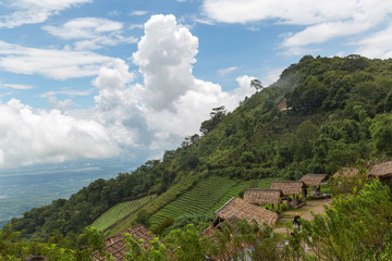 many little houses made from bamboo on the top of the moutain in