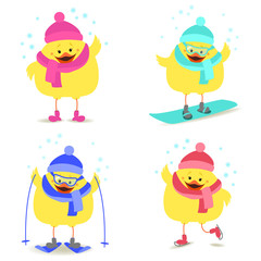 Chicken and winter sports. Snowboarding, skating, skiing. Vector cartoon