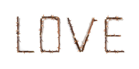 word love composed of thorny rose stems