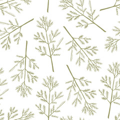 Vector seamless doodle slim floral pattern with carrot leaves on white background. 