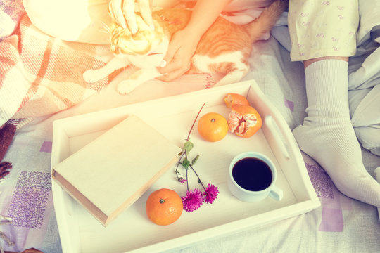 Women sitting on bed with red cat near tray with old book, tangerines and cup of coffee, cozy home concept. Coloring and processing photo with soft focus in instagram style.