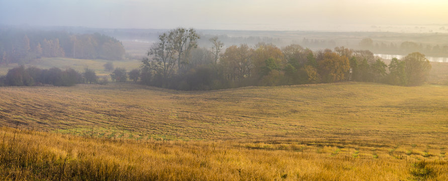 misty autumn morning over the valley, hunting tower on the edge  of the forest