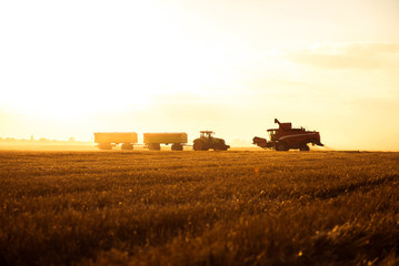 Fototapeta premium Tractor on a countryside
