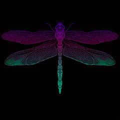 Zentangle stylized dragonfly . Hand-drawn vector illustration.