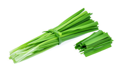 Garlic chives on white background