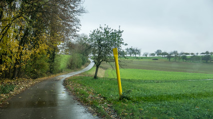 Fototapeta premium Gas Pipeline
