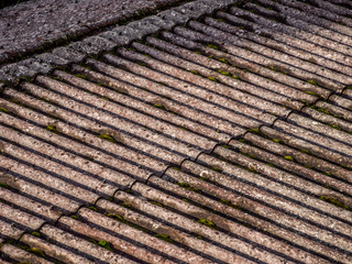 Moos auf Eternitdach
