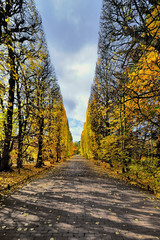 Autumn Landscape. Park in Autumn. The bright colors of autumn in the park 
