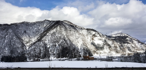 view from train of mountain cover by snow and dry tree in japan