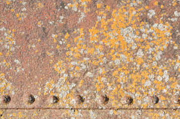 A background texture or overlay of rusted metal with lichen grow
