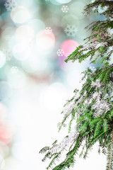 fir branch and blurred Christmas lights