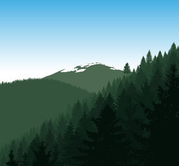 Fototapeta premium Panorama of mountains. Silhouette of mountains with snow and coniferous trees on the background of blue sky. Natural tones. Can be used as eco banner.