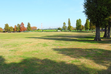 辰巳の森海浜公園