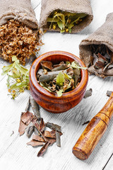 set of medicinal herbs