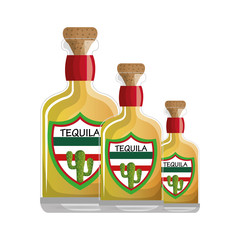 mexican tequila drink icon vector illustration design