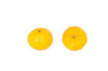 Orange fruit on white background