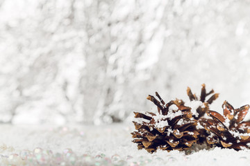 Three pine cones on snow