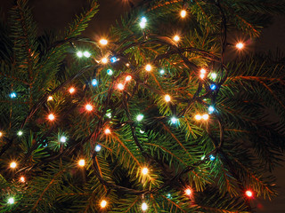 Obraz na płótnie Canvas background lights garland on the Christmas fir tree