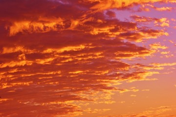 Spectacular sunset over the Pacific Ocean, California