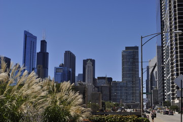 Obraz premium view of downtown