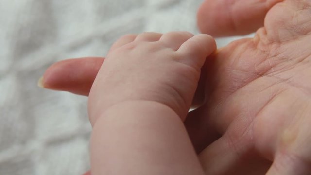 Baby's hand in the hand of an adult