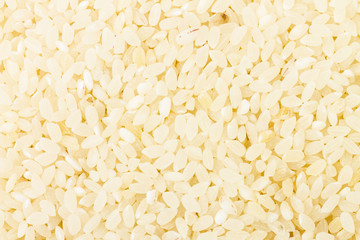 rice seeds