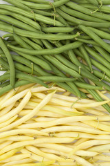 green and yellow bean