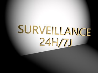surveillance 2