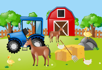 Farm animals living in the farm