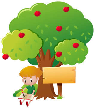 Boy writing under the apple tree