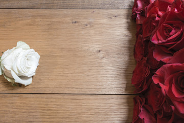 White rose against red roses 