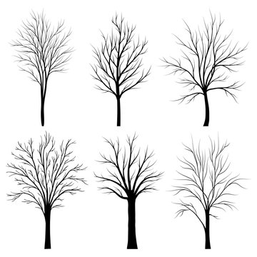 Trees silhouettes set on white background vector