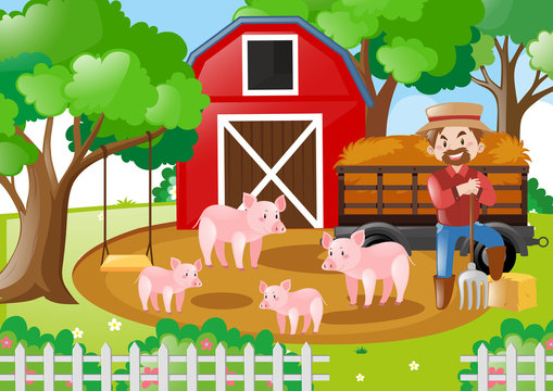 Farmer and pigs in the field