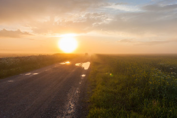Misty rural road in the field