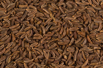 Close up caraway seeds