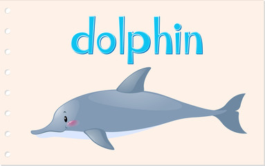Animal wordcard for wild dolphin