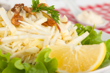 Waldorf salad made of fresh apples, celery, walnuts and mayonnaise