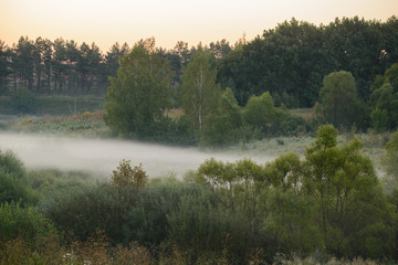 Foggy sunrise on the banks of a river in Polesie