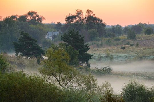Fototapeta forest road in the morning mist.