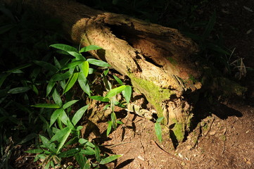 Spot Lake Nukabira Observation Deck Kamishihoro Hokkaido Doutou Hokkaido Japan