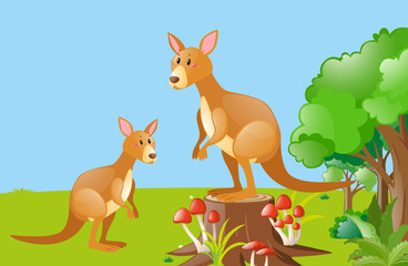 Obraz na płótnie Canvas Two kangarooes in the field